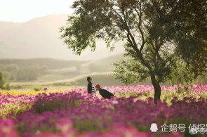 「德沪涂膜」杀青数万万元a轮融资，专注钙钛矿苛紧溶液涂布处分预备